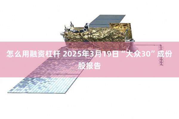 怎么用融资杠杆 2025年3月19日“大众30”成份股报告