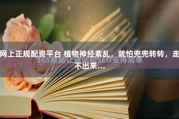 网上正规配资平台 植物神经紊乱，就怕兜兜转转，走不出来...