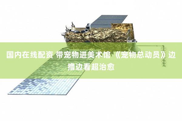 国内在线配资 带宠物进美术馆 《宠物总动员》边撸边看超治愈