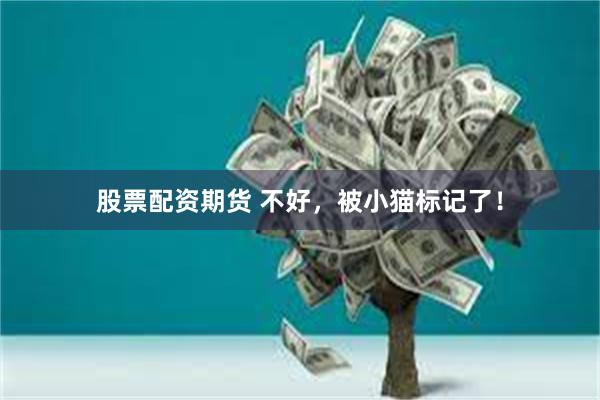 股票配资期货 不好，被小猫标记了！