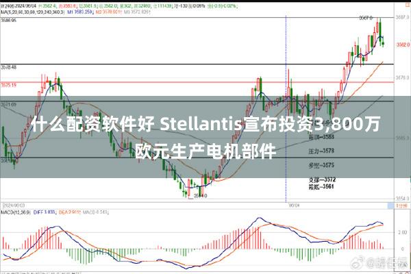 什么配资软件好 Stellantis宣布投资3,800万欧元生产电机部件