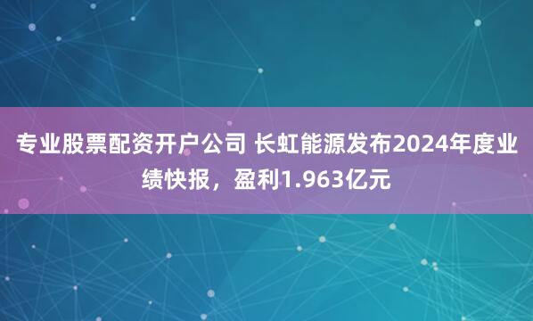 专业股票配资开户公司 长虹能源发布2024年度业绩快报，盈利1.963亿元