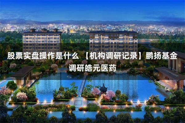 股票实盘操作是什么 【机构调研记录】鹏扬基金调研皓元医药
