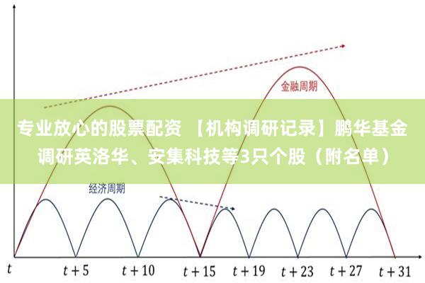 专业放心的股票配资 【机构调研记录】鹏华基金调研英洛华、安集科技等3只个股（附名单）