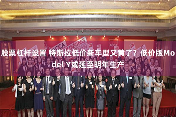 股票杠杆设置 特斯拉低价新车型又黄了？低价版Model Y或延至明年生产