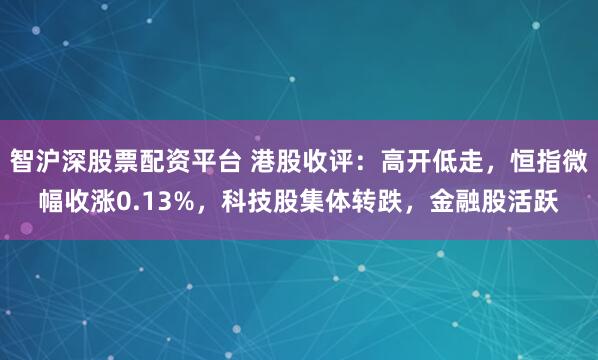 智沪深股票配资平台 港股收评：高开低走，恒指微幅收涨0.13%，科技股集体转跌，金融股活跃