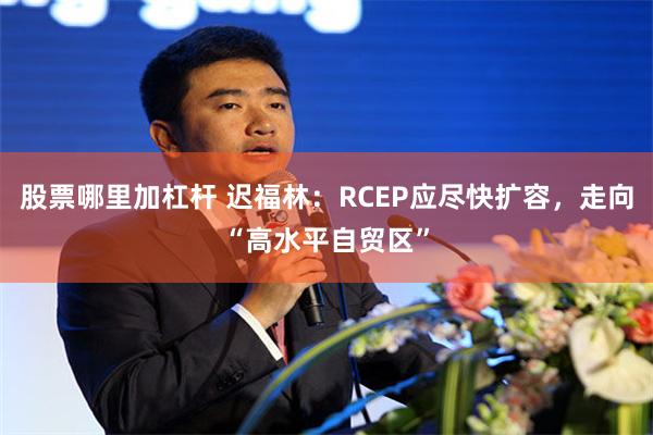 股票哪里加杠杆 迟福林：RCEP应尽快扩容，走向“高水平自贸区”
