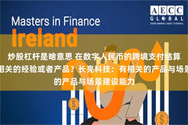 炒股杠杆是啥意思 在数字人民币的跨境支付结算中是否有相关的经验或者产品？长亮科技：有相关的产品与场景建设能力