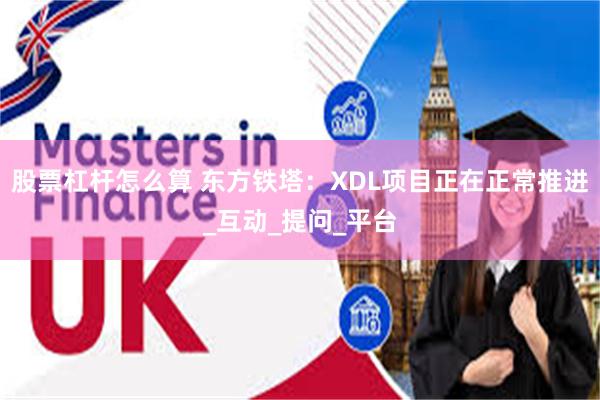 股票杠杆怎么算 东方铁塔：XDL项目正在正常推进_互动_提问_平台