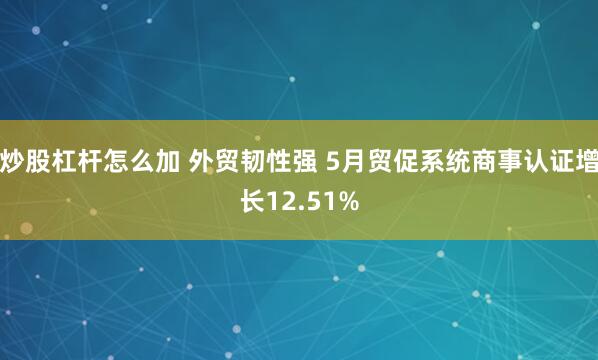 炒股杠杆怎么加 外贸韧性强 5月贸促系统商事认证增长12.51%