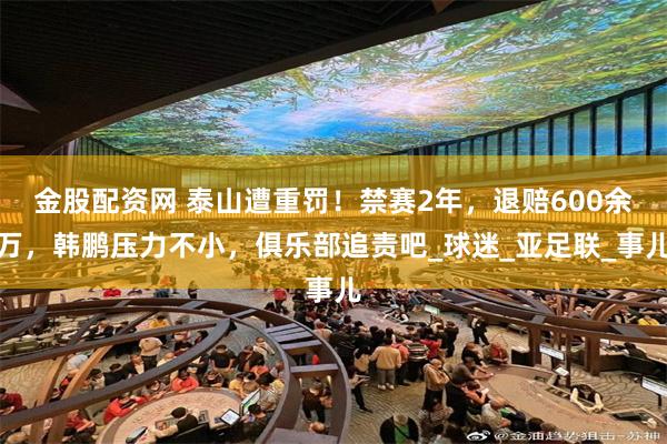 金股配资网 泰山遭重罚！禁赛2年，退赔600余万，韩鹏压力不小，俱乐部追责吧_球迷_亚足联_事儿