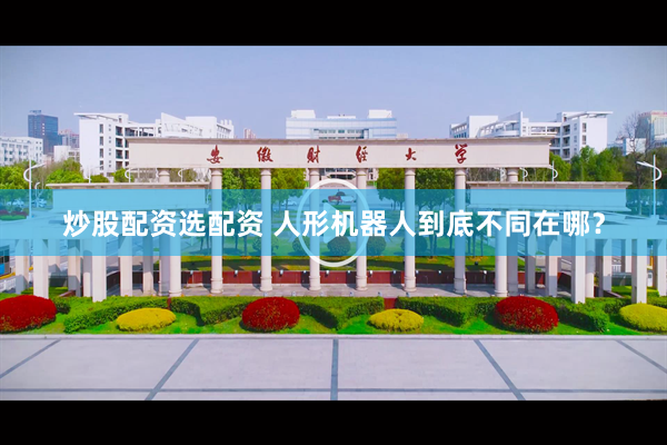 炒股配资选配资 人形机器人到底不同在哪？