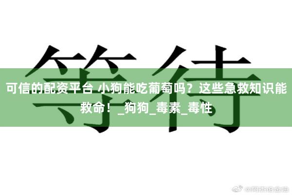 可信的配资平台 小狗能吃葡萄吗？这些急救知识能救命！_狗狗_毒素_毒性