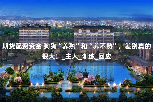 期货配资资金 狗狗“养熟”和“养不熟”，差别真的很大！_主人_训练_回应