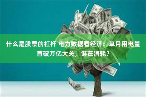 什么是股票的杠杆 电力数据看经济：单月用电量首破万亿大关，谁在消耗？