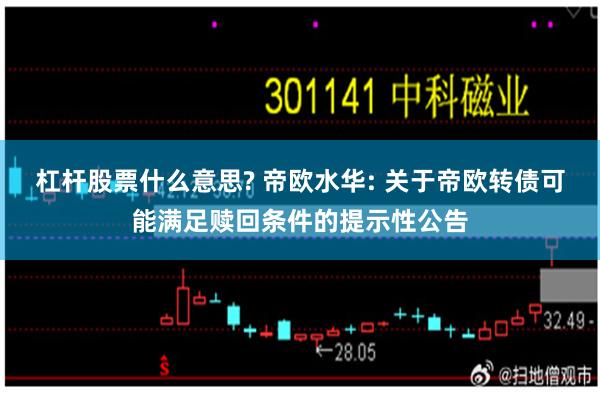 杠杆股票什么意思? 帝欧水华: 关于帝欧转债可能满足赎回条件的提示性公告