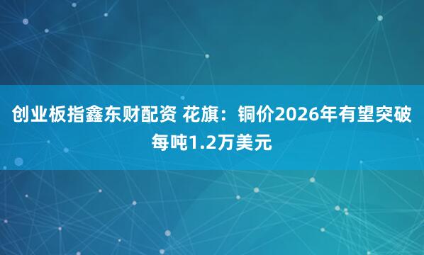 创业板指鑫东财配资 花旗：铜价2026年有望突破每吨1.2万美元