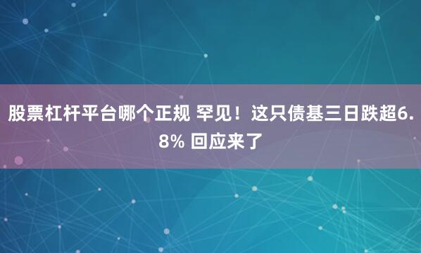 股票杠杆平台哪个正规 罕见!这只债基三日跌超6.8% 回应来了